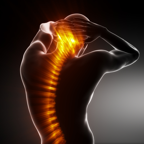 chiropractor miami Chiropractor Miami