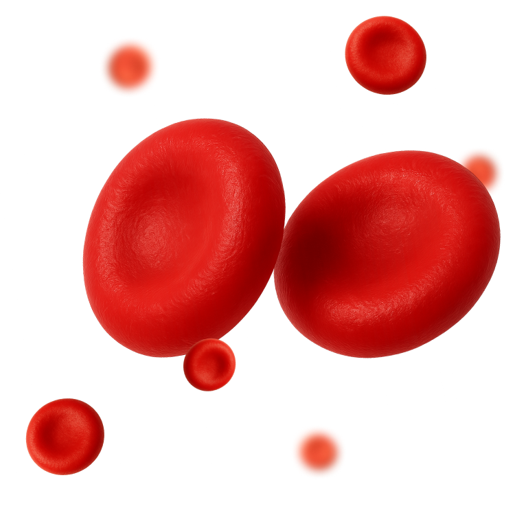 Blood Cells