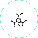 The GLP-1 Hormone