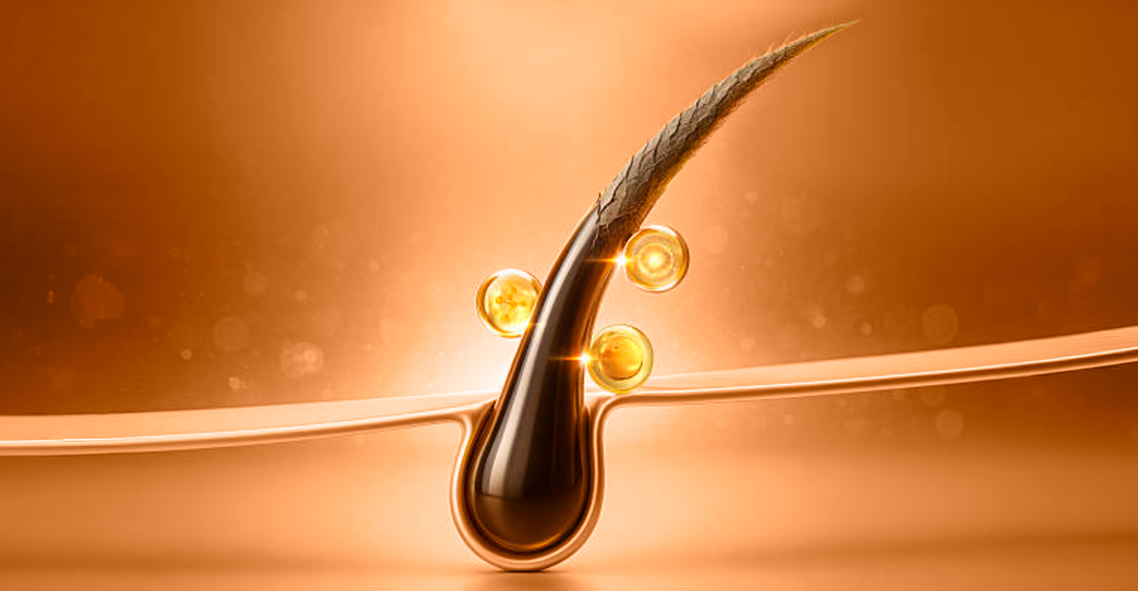 Illustration explaining the NuDew topical formula at the hair follicle