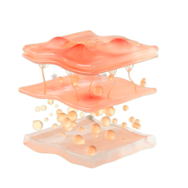 Skin layers illustration