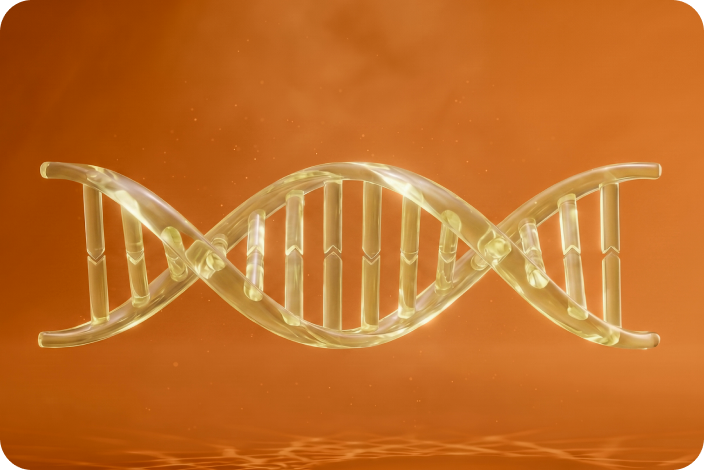 Golden DNA rendering for L-Carnitine wellness support